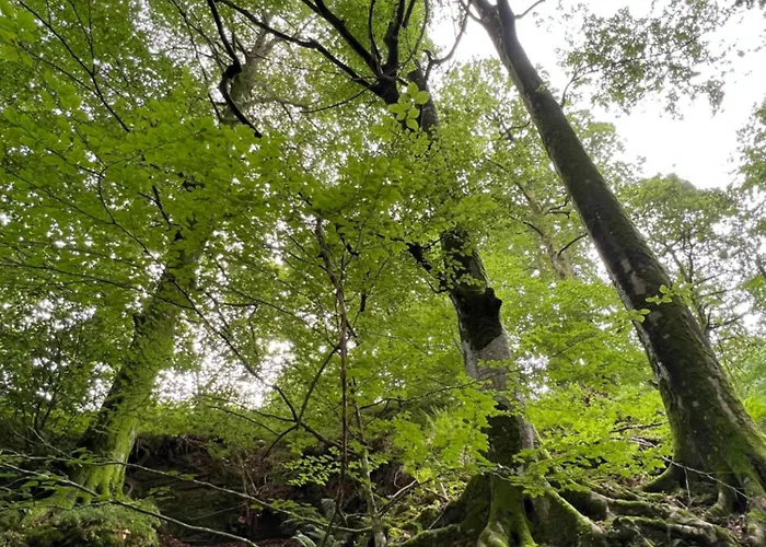 La Maria 아파트 *