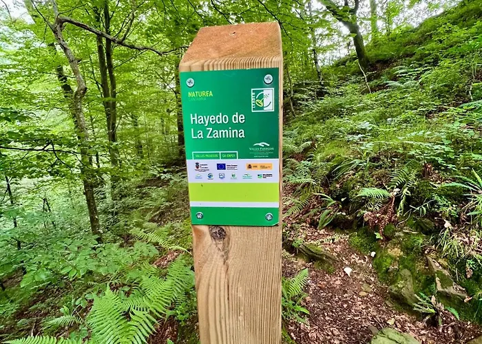 아파트 La Maria San Roque de Ríomiera