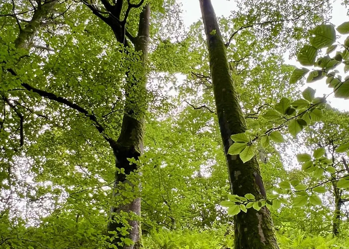 La Maria 아파트 *