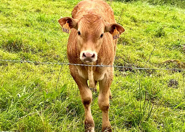 La Maria 아파트 San Roque de Ríomiera